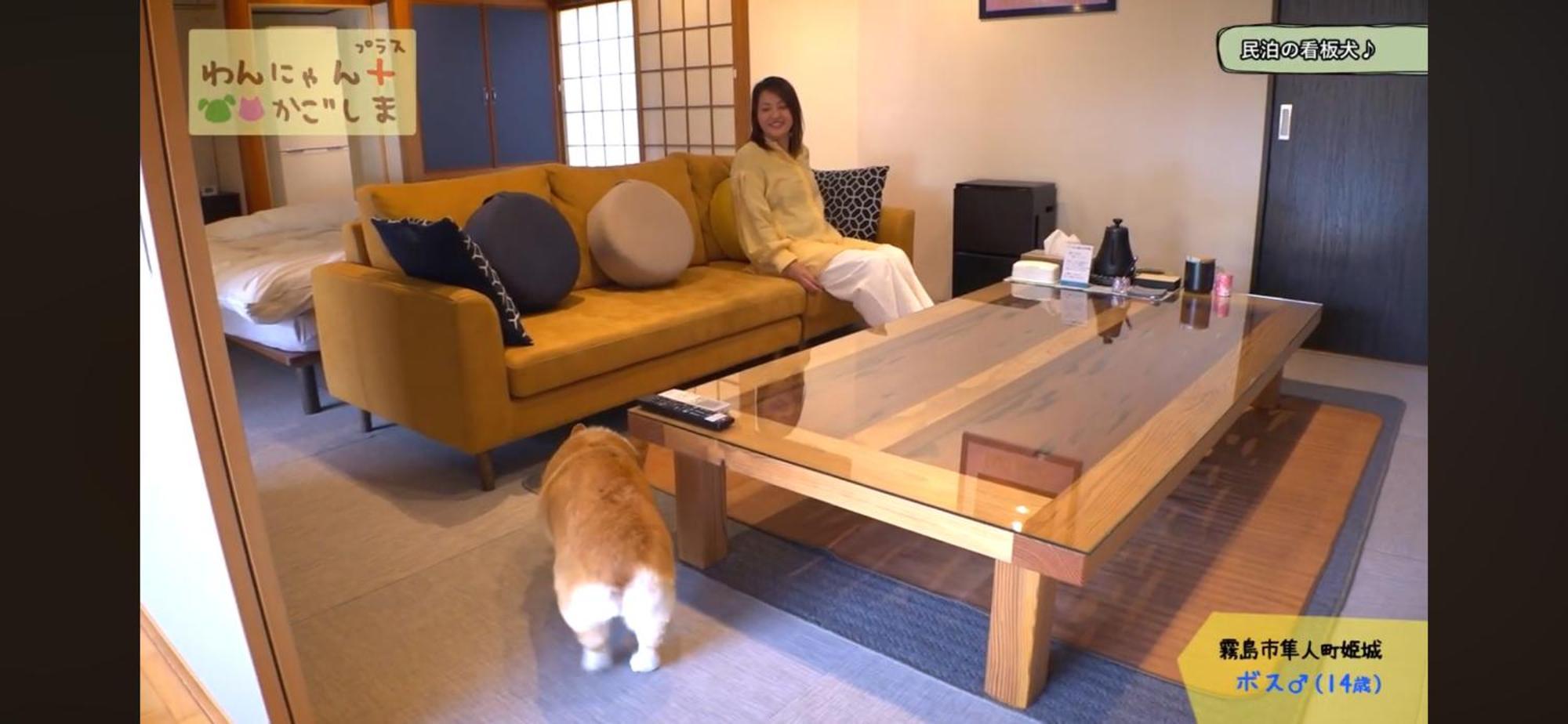 Boss'Shouse 犬ok 1組限定の宿 Kirishima Ngoại thất bức ảnh